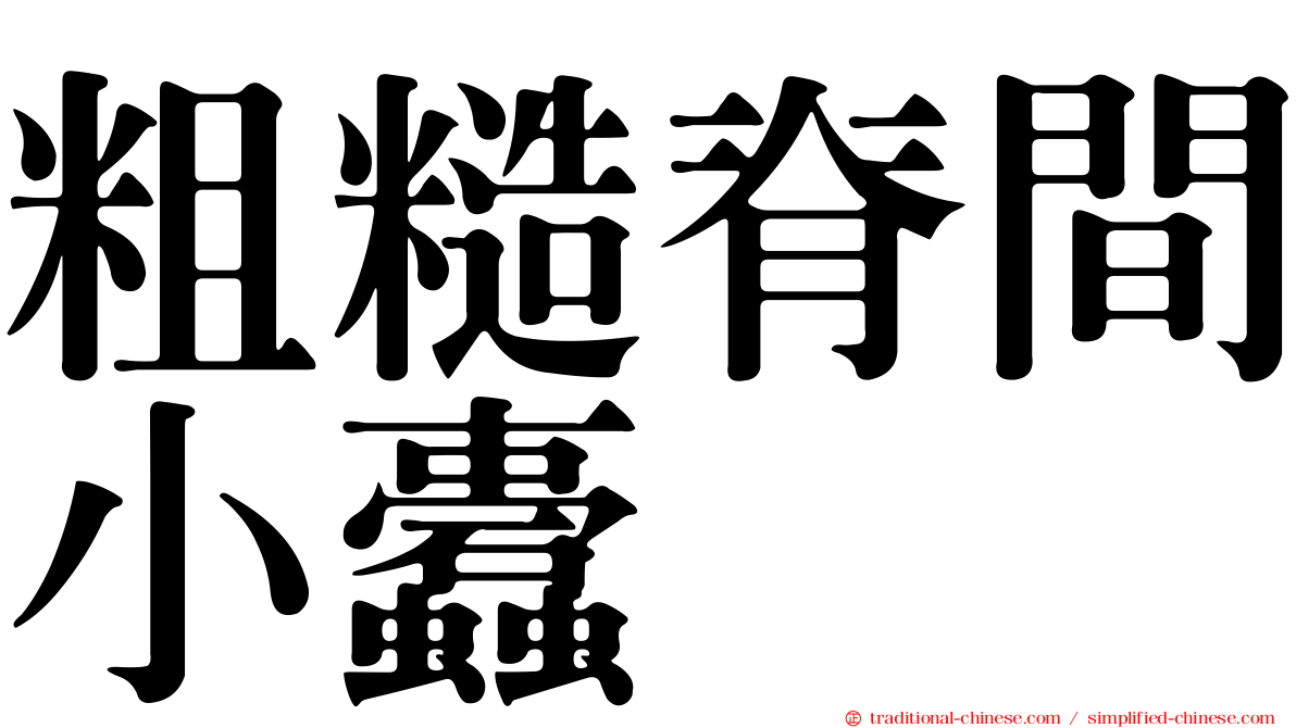 粗糙脊間小蠹