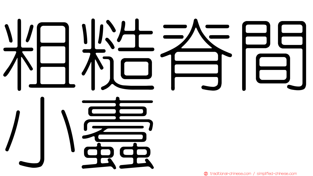 粗糙脊間小蠹