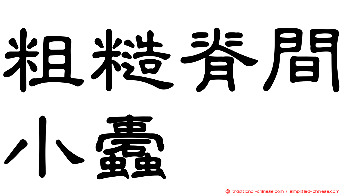 粗糙脊間小蠹