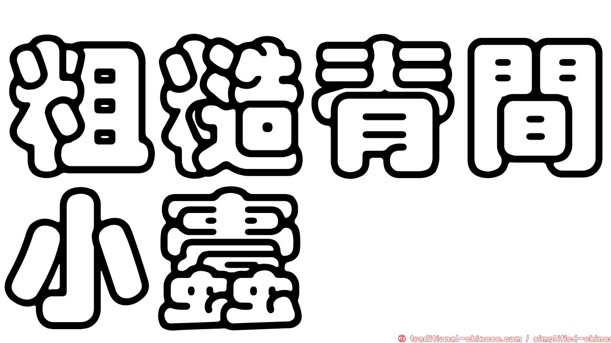 粗糙脊間小蠹