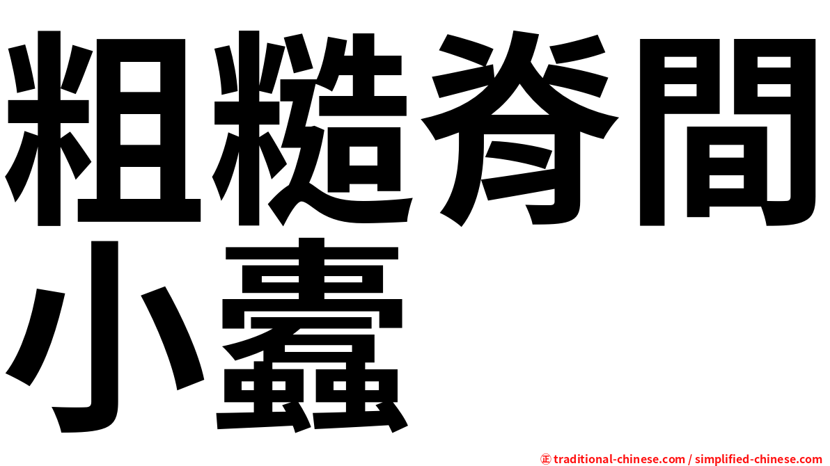 粗糙脊間小蠹
