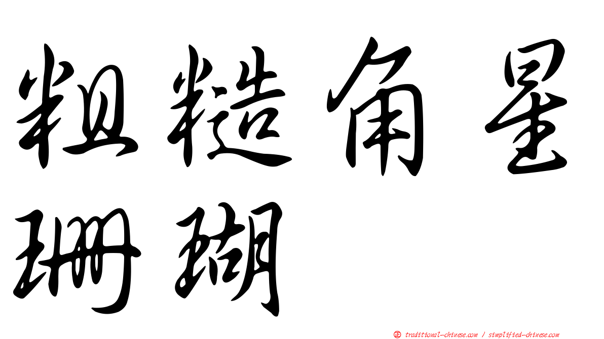 粗糙角星珊瑚