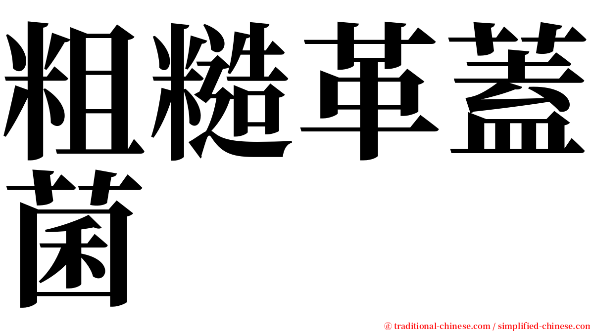 粗糙革蓋菌 serif font