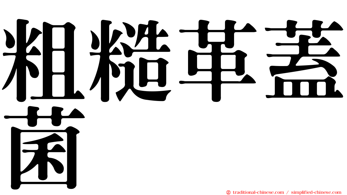 粗糙革蓋菌