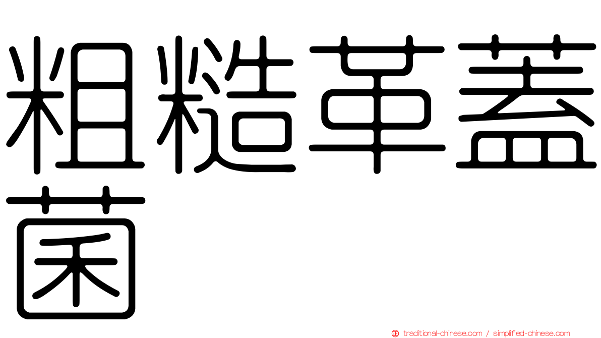 粗糙革蓋菌