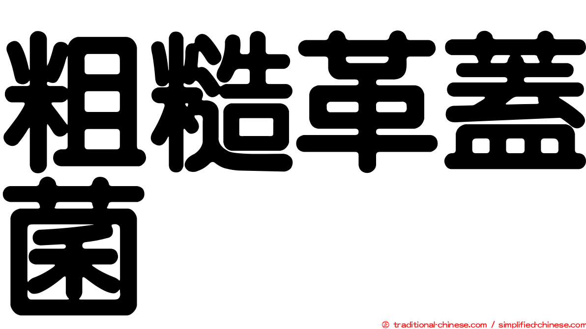 粗糙革蓋菌