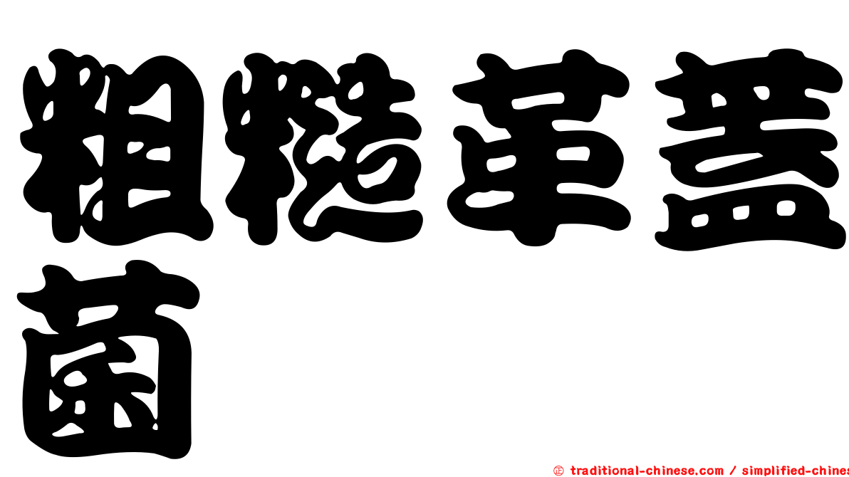 粗糙革蓋菌
