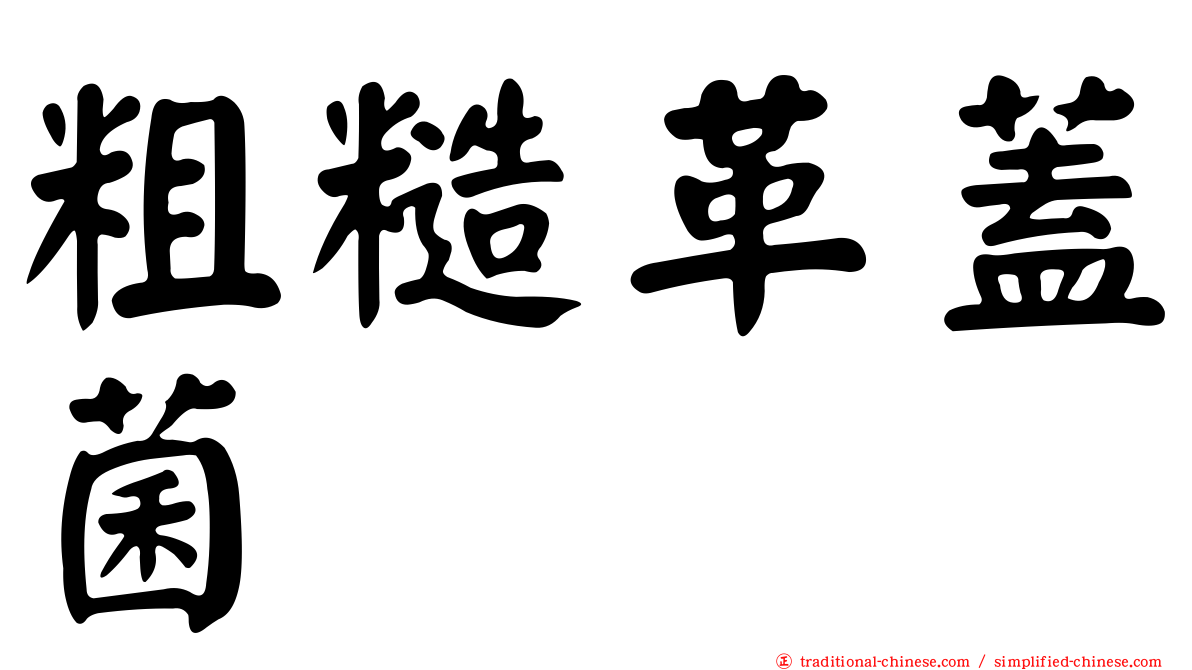 粗糙革蓋菌