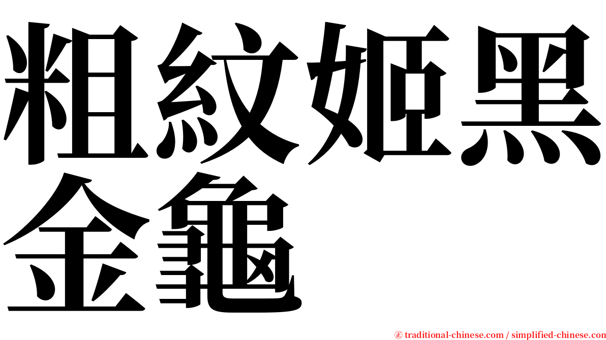 粗紋姬黑金龜 serif font
