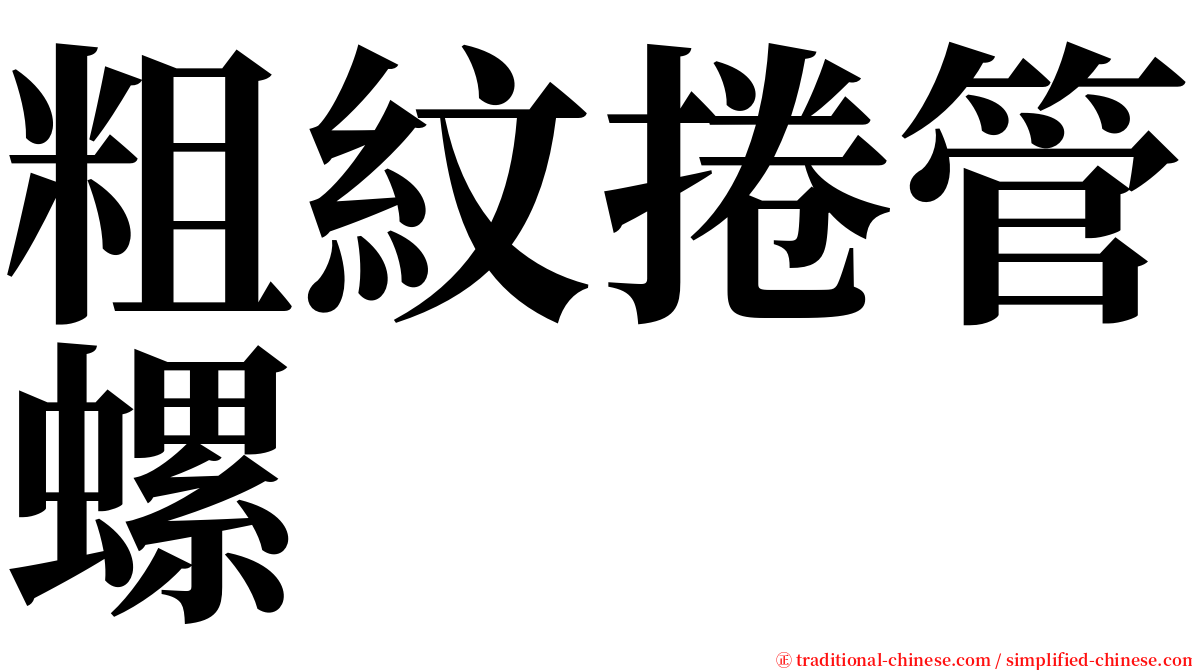 粗紋捲管螺 serif font