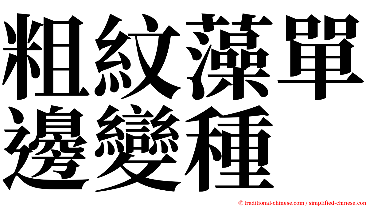 粗紋藻單邊變種 serif font