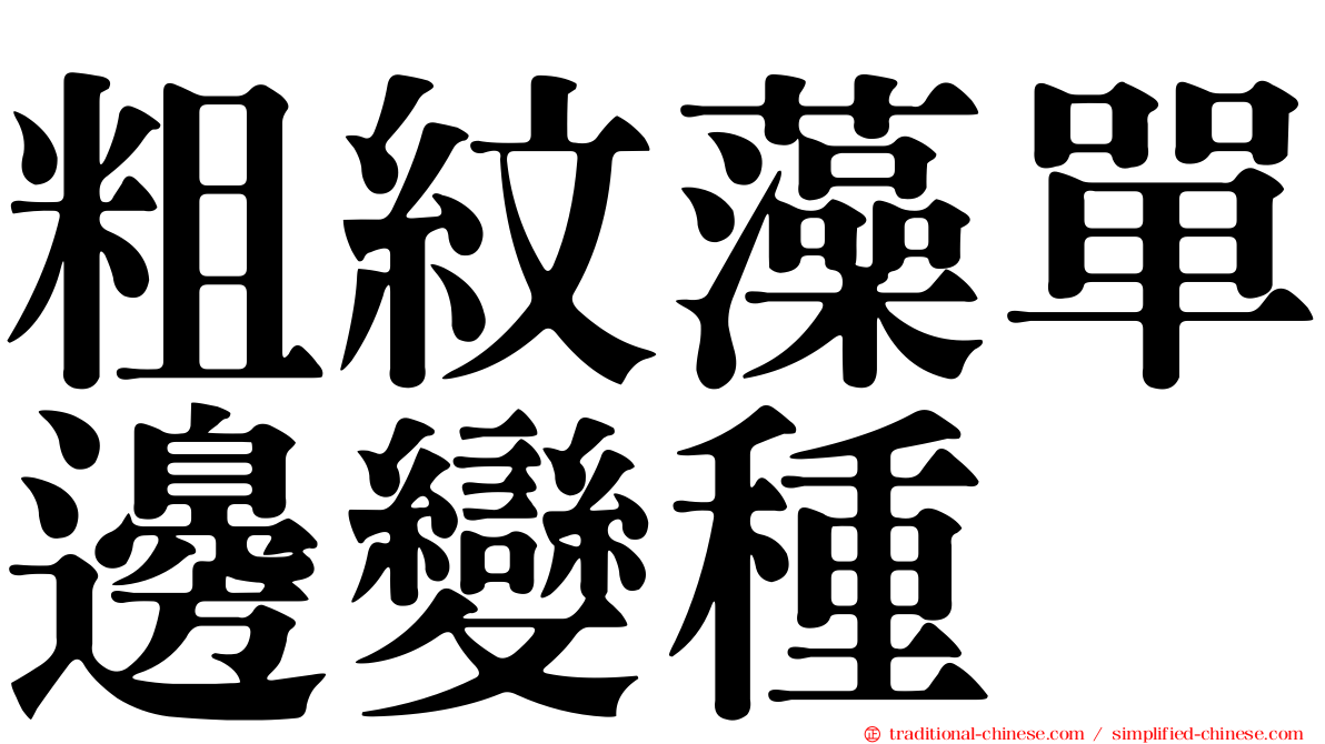 粗紋藻單邊變種