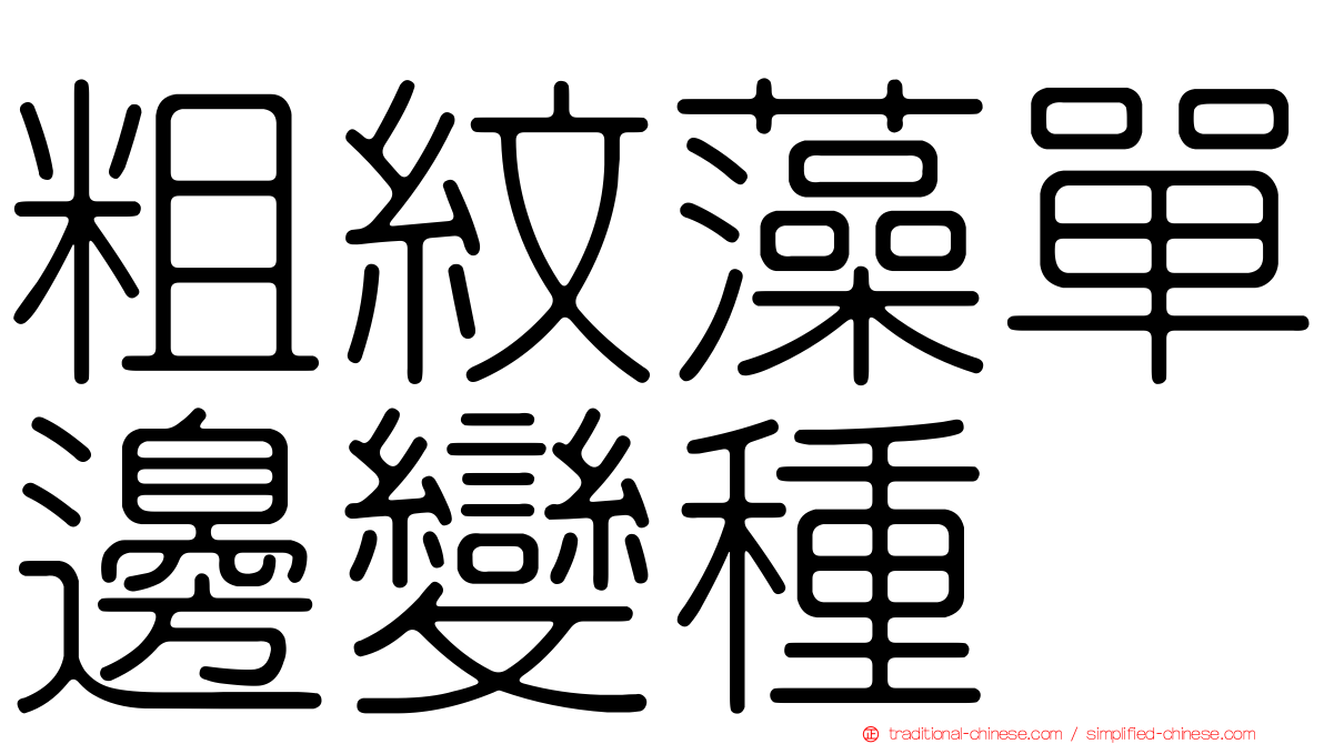 粗紋藻單邊變種