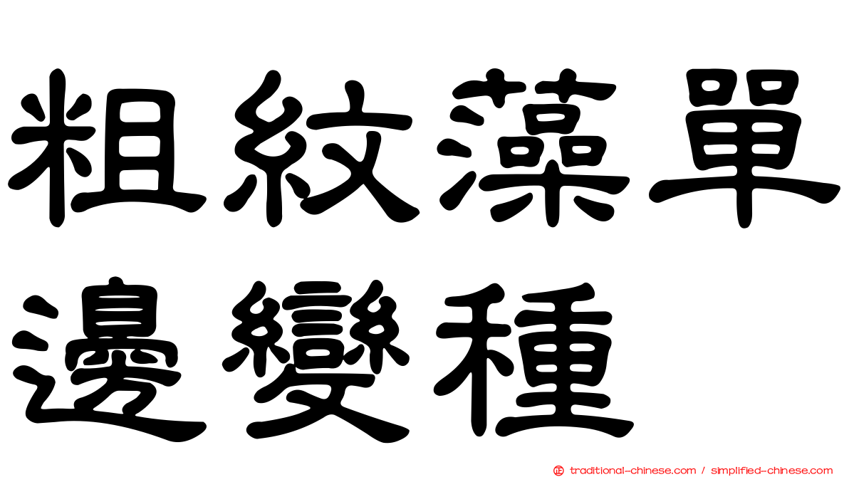粗紋藻單邊變種