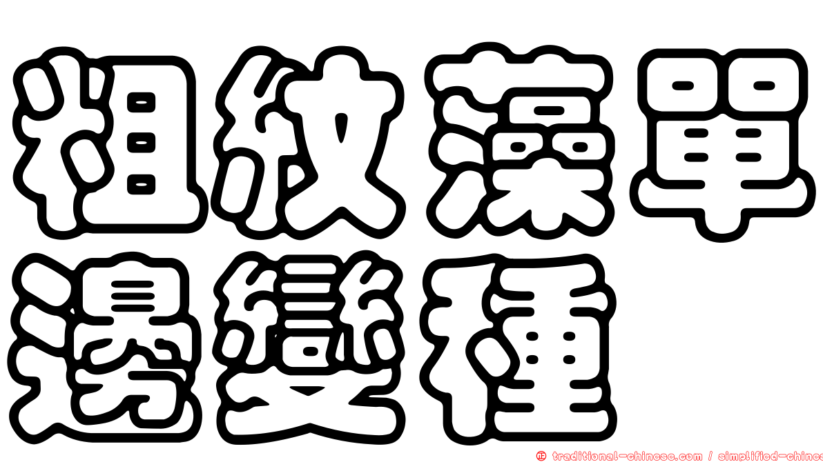 粗紋藻單邊變種