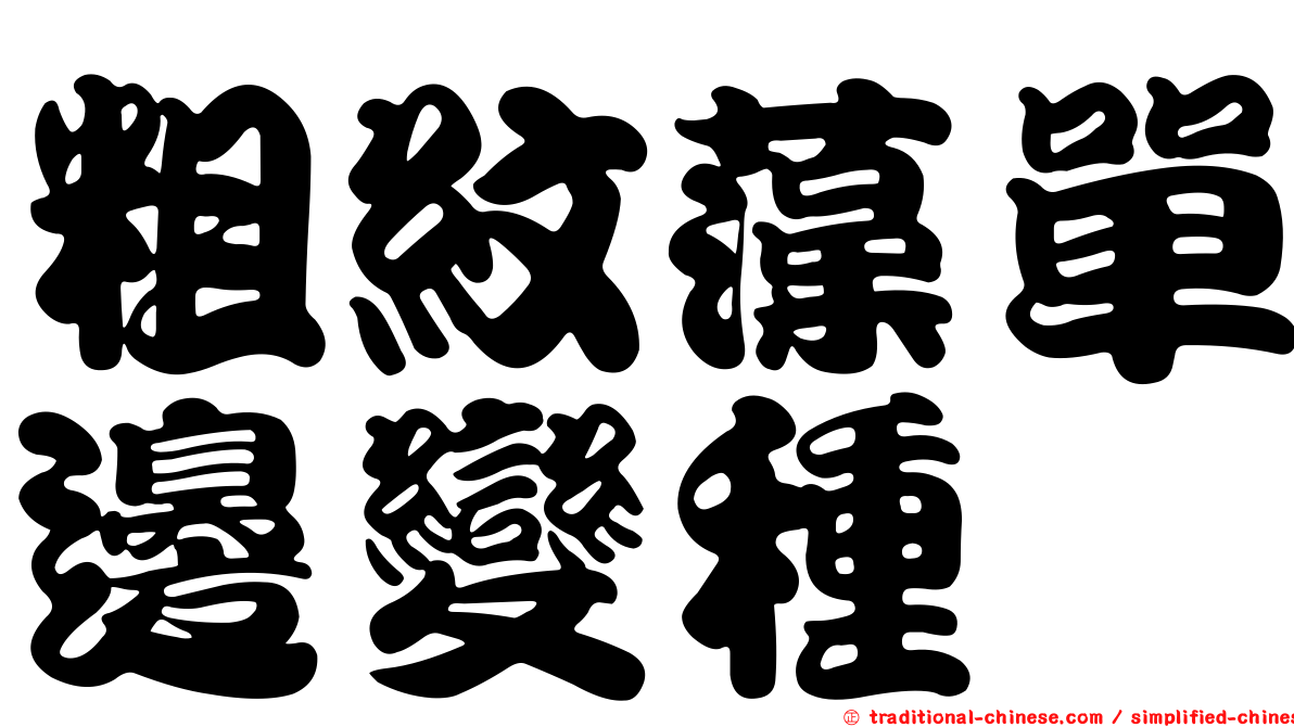 粗紋藻單邊變種