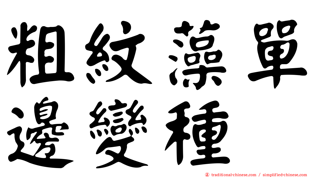 粗紋藻單邊變種