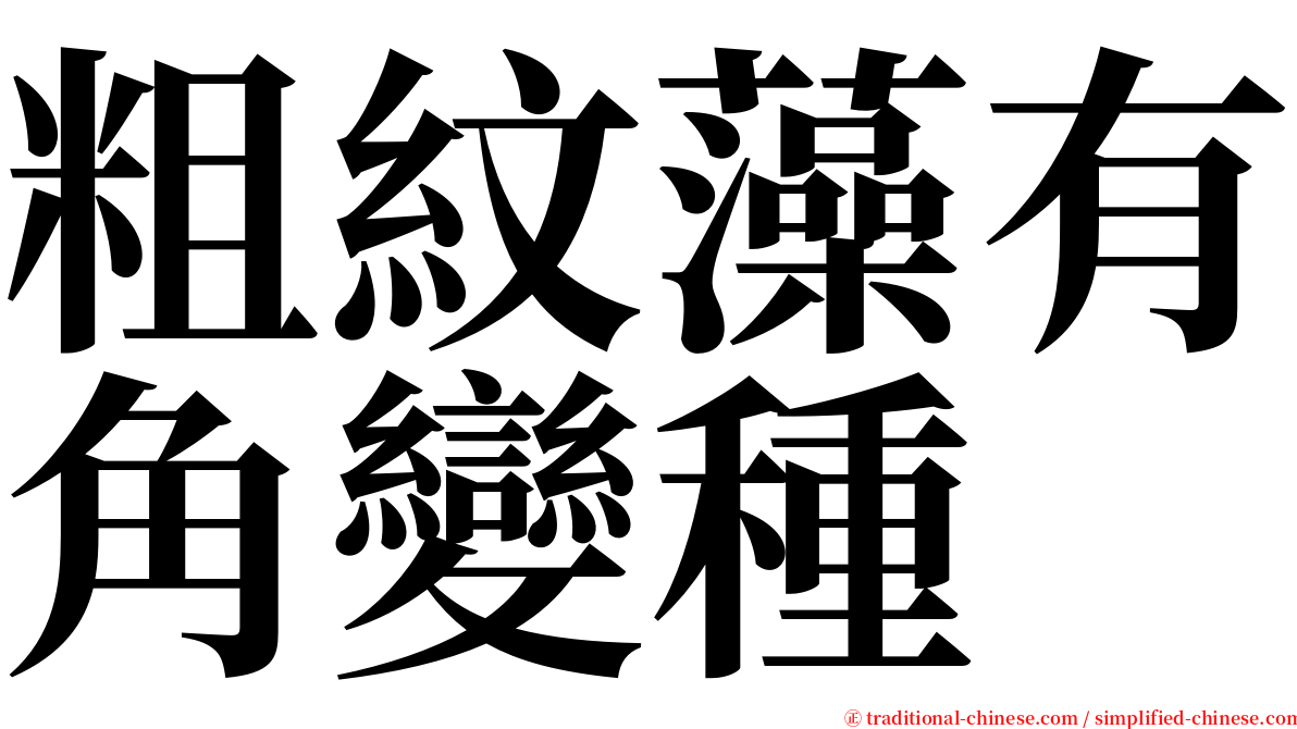 粗紋藻有角變種 serif font