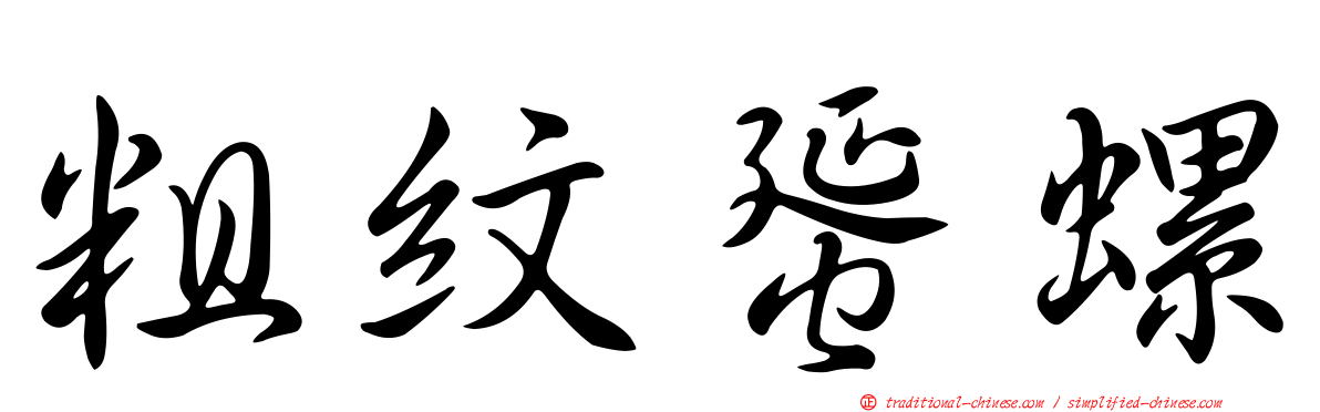 粗紋蜑螺