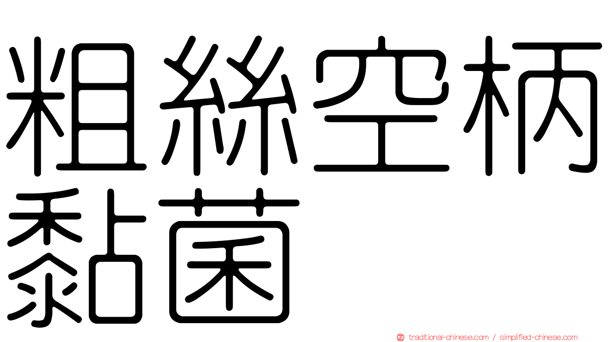 粗絲空柄黏菌