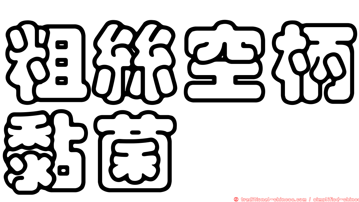 粗絲空柄黏菌
