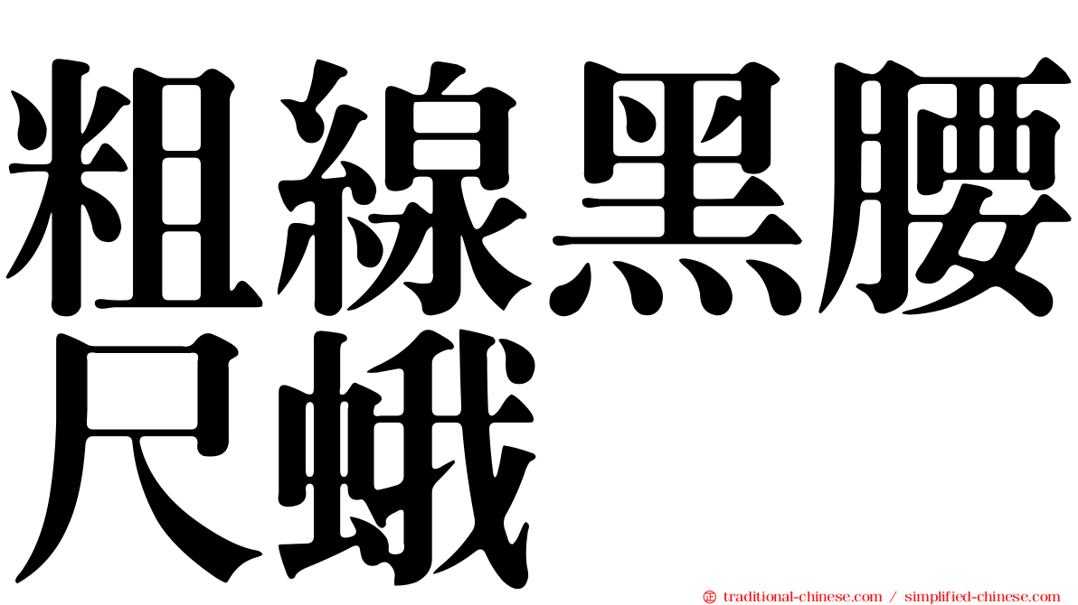 粗線黑腰尺蛾