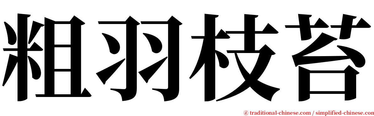 粗羽枝苔 serif font