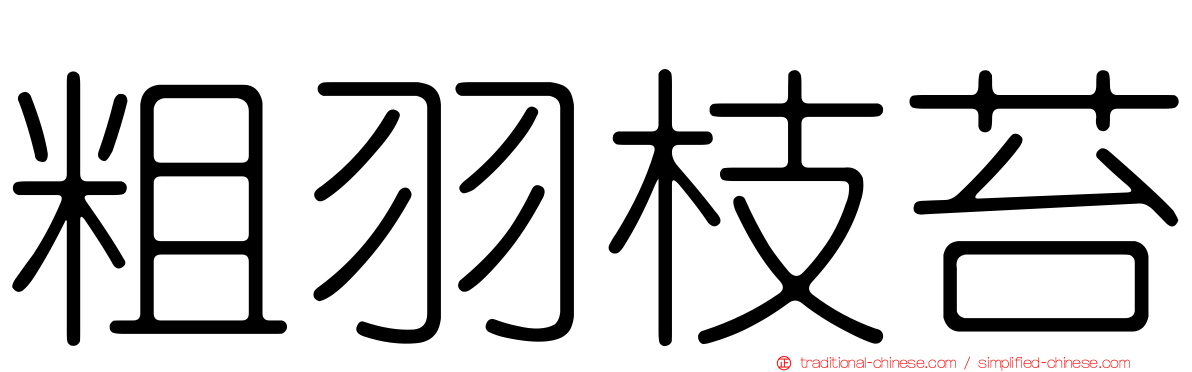 粗羽枝苔