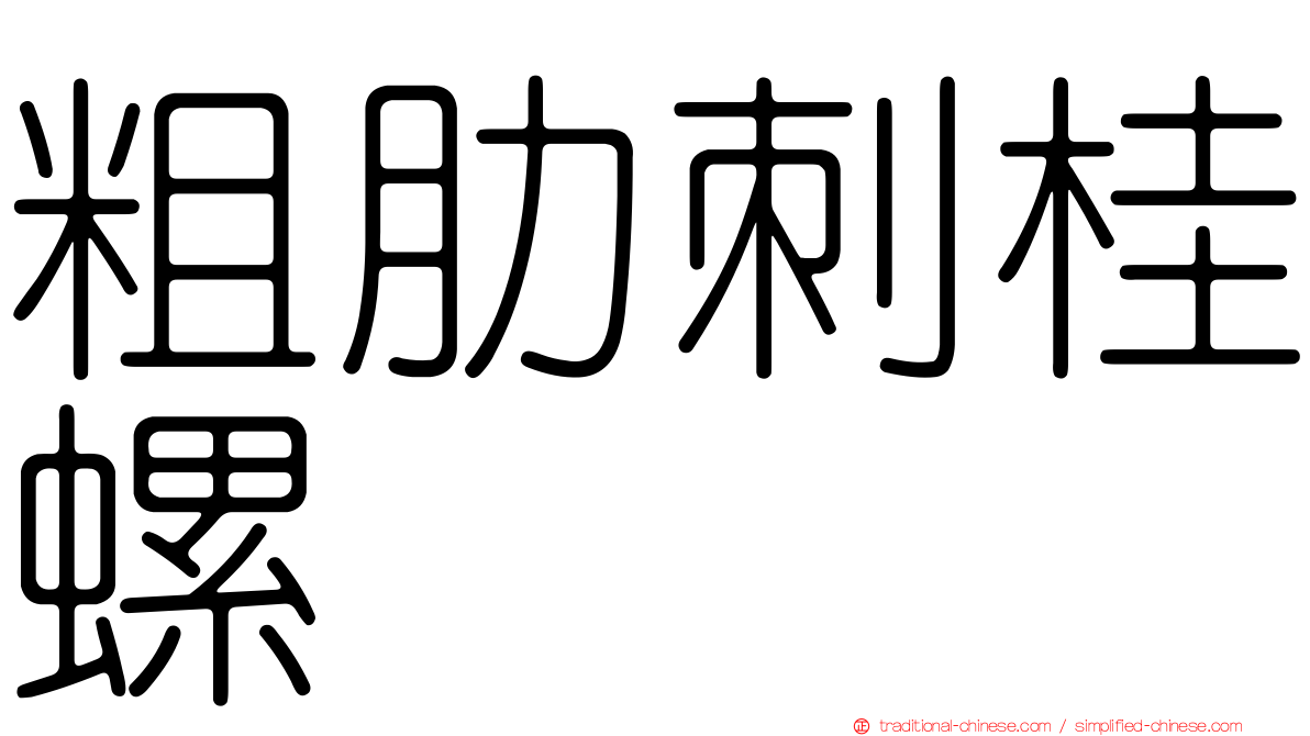 粗肋刺桂螺