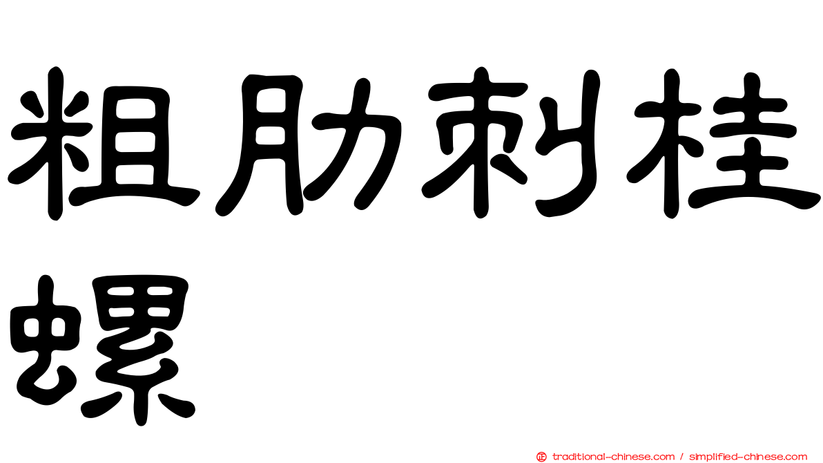 粗肋刺桂螺