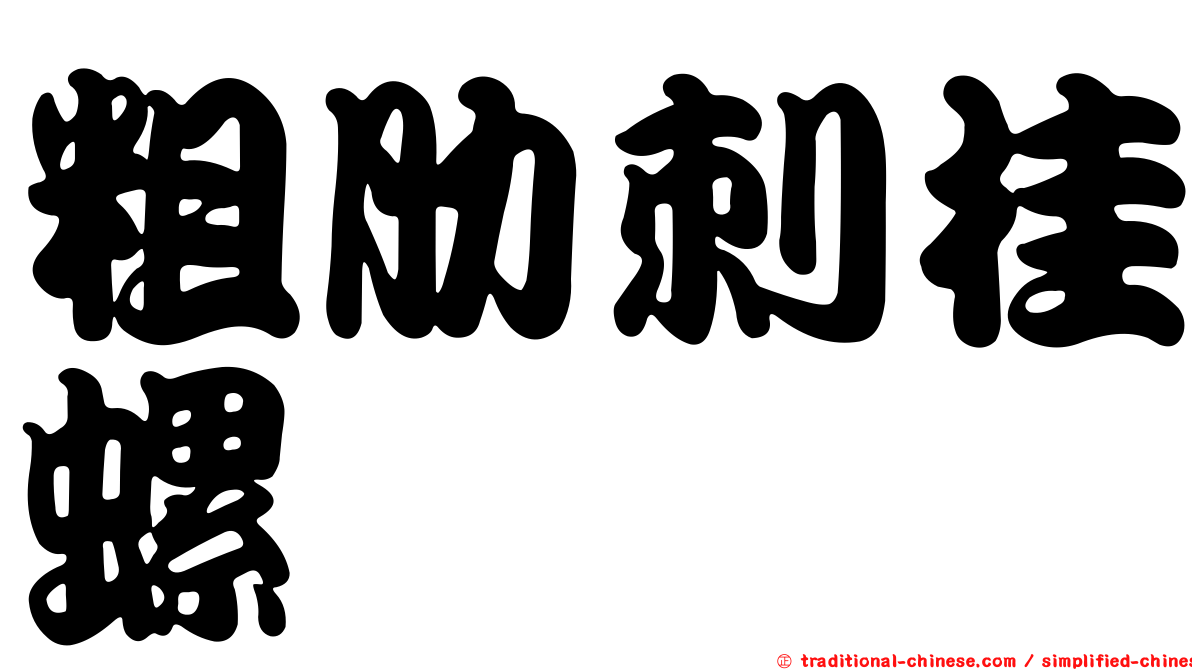 粗肋刺桂螺