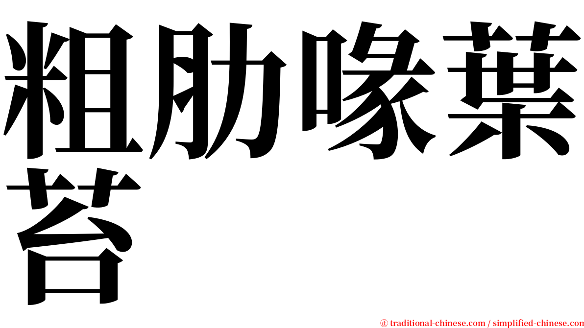 粗肋喙葉苔 serif font