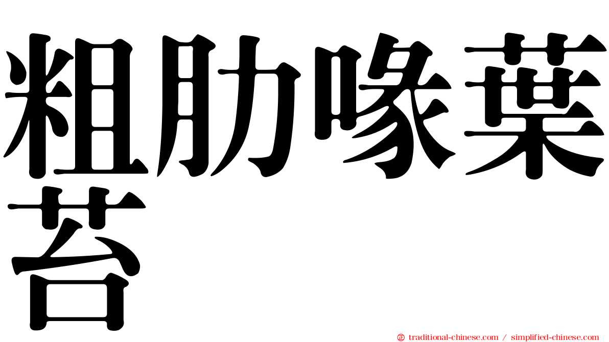 粗肋喙葉苔