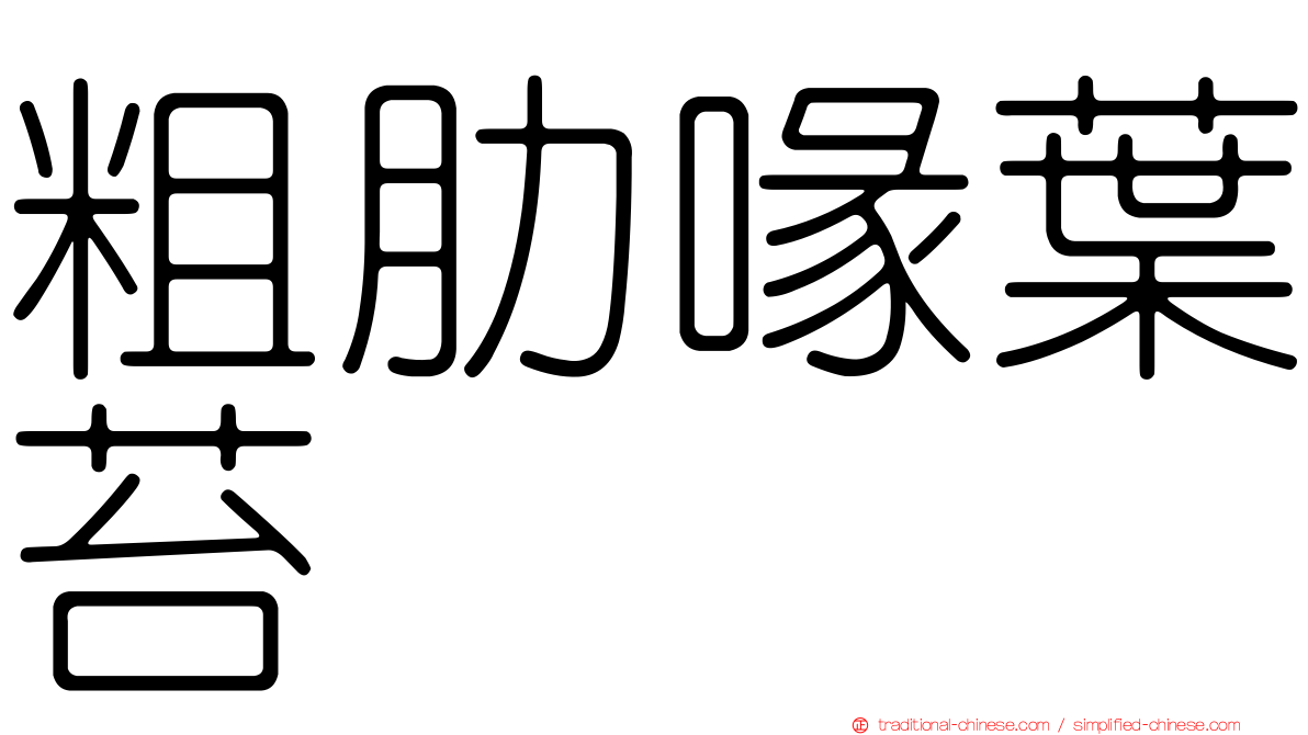 粗肋喙葉苔