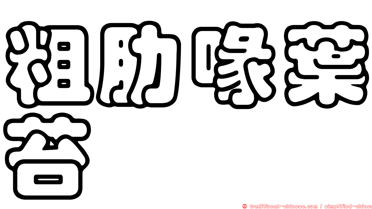 粗肋喙葉苔