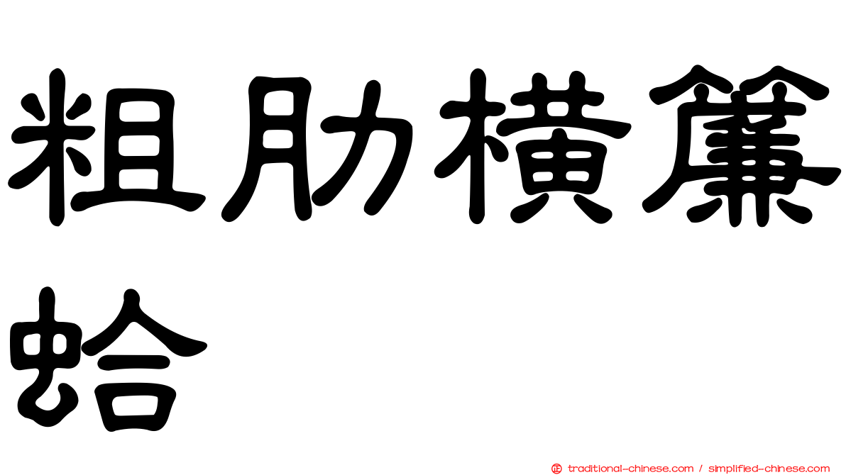 粗肋橫簾蛤