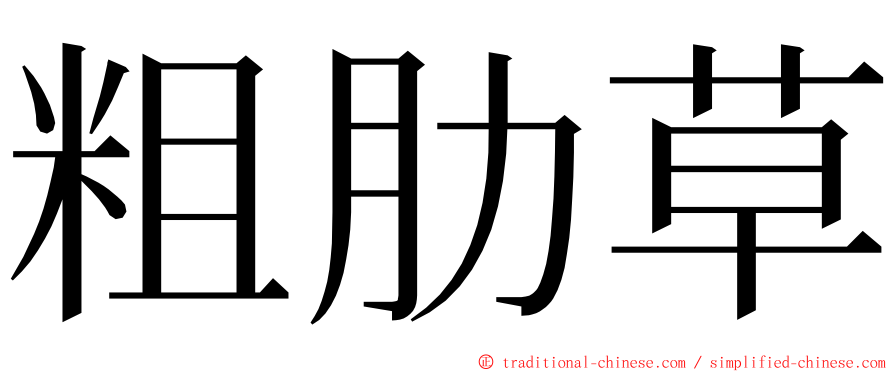粗肋草 ming font