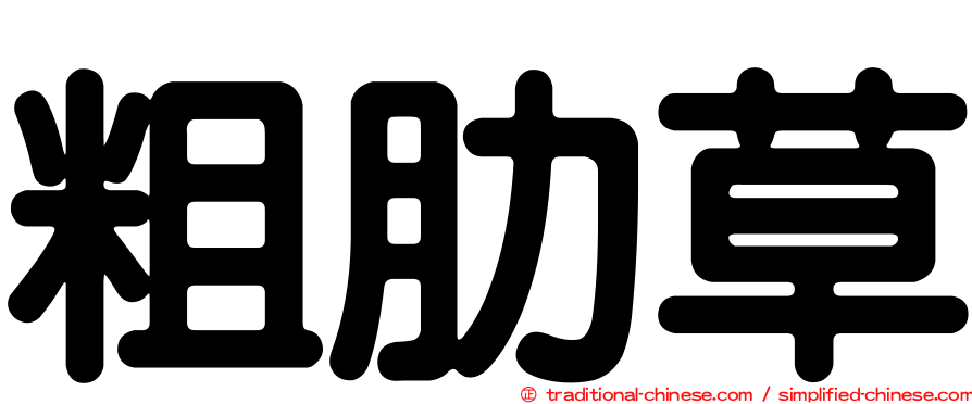 粗肋草