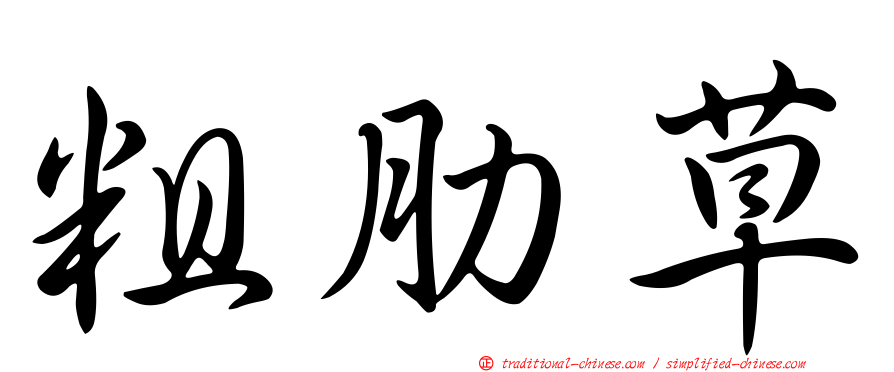 粗肋草