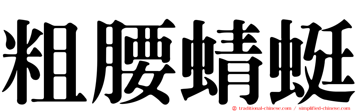 粗腰蜻蜓