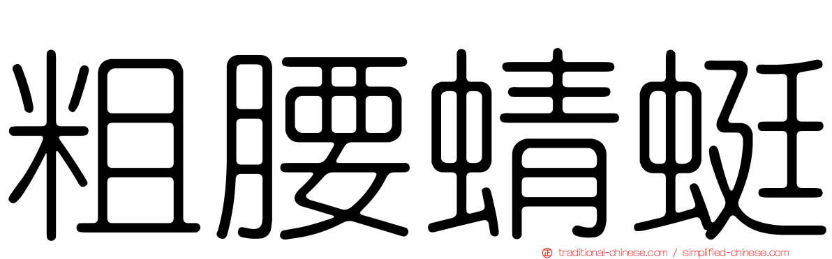 粗腰蜻蜓
