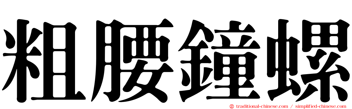 粗腰鐘螺