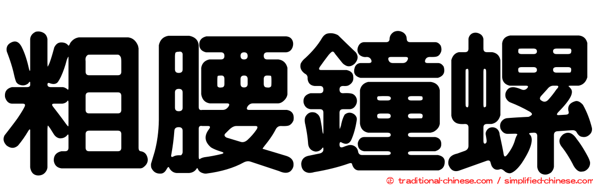 粗腰鐘螺