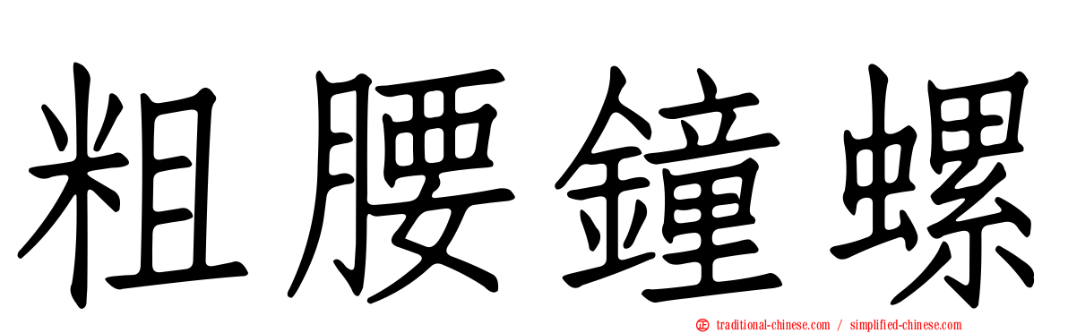 粗腰鐘螺