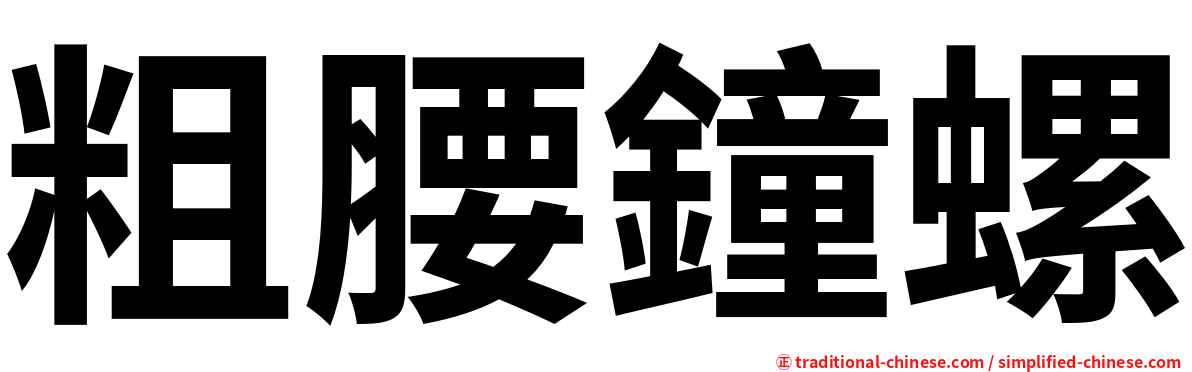 粗腰鐘螺