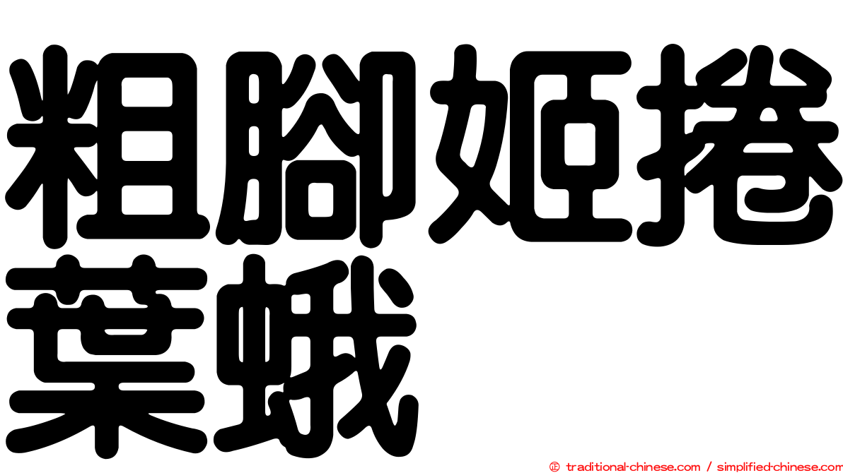 粗腳姬捲葉蛾