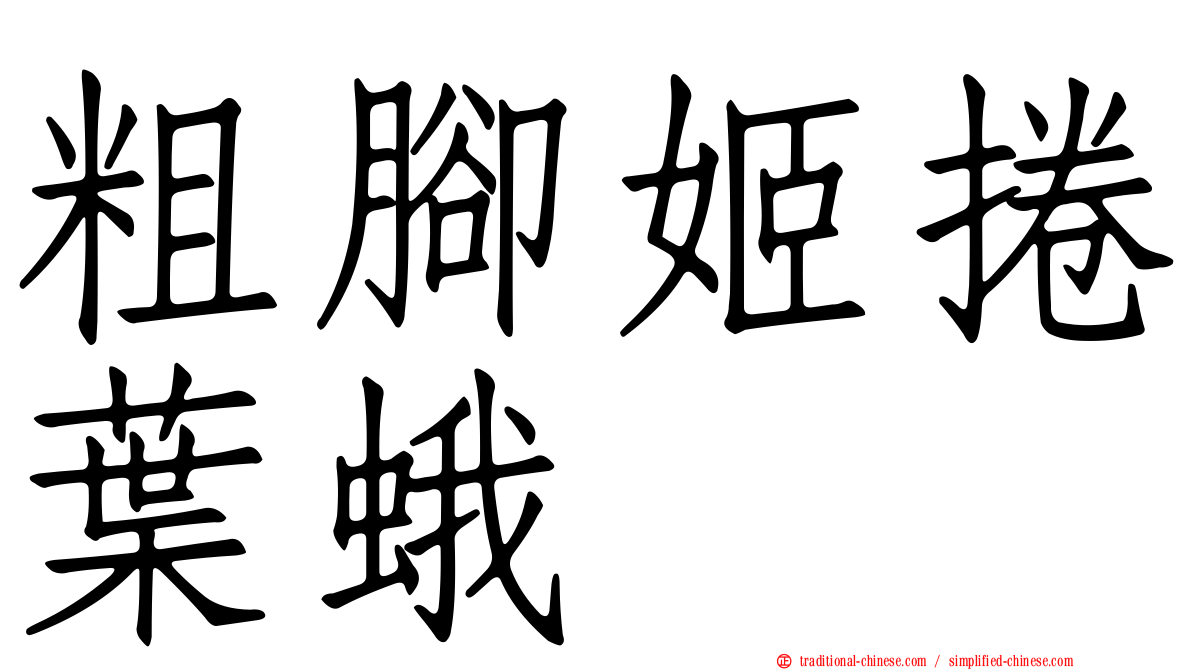 粗腳姬捲葉蛾