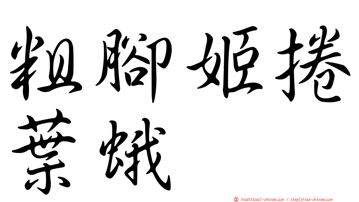 粗腳姬捲葉蛾