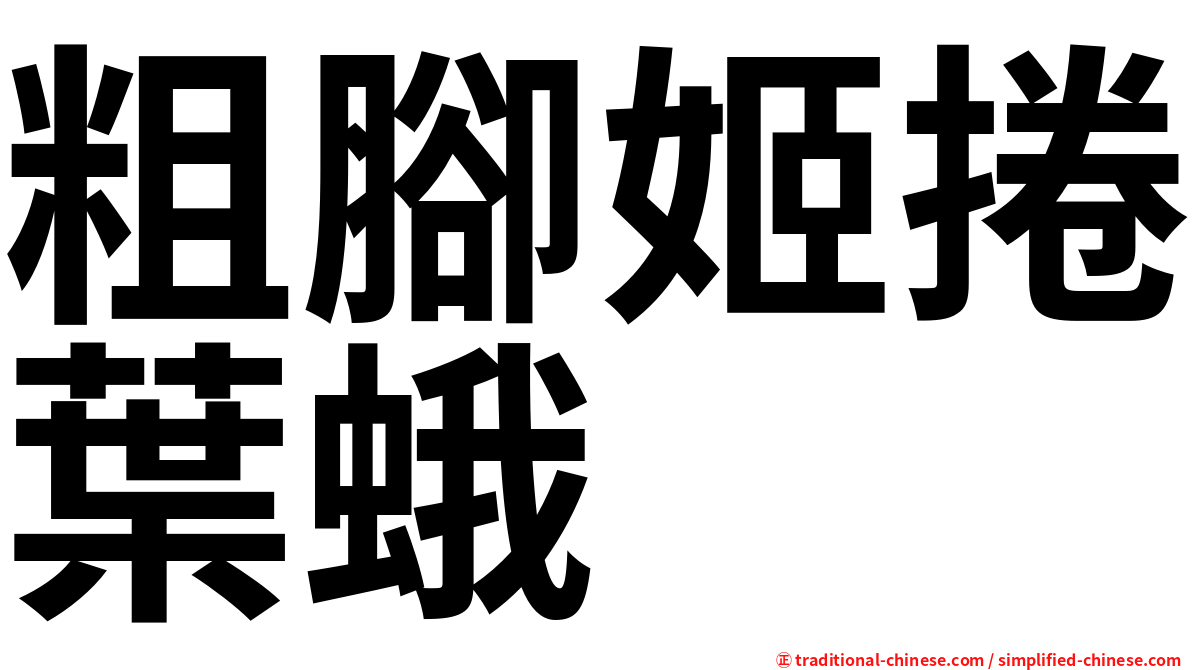 粗腳姬捲葉蛾