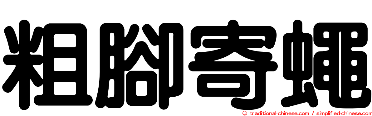 粗腳寄蠅